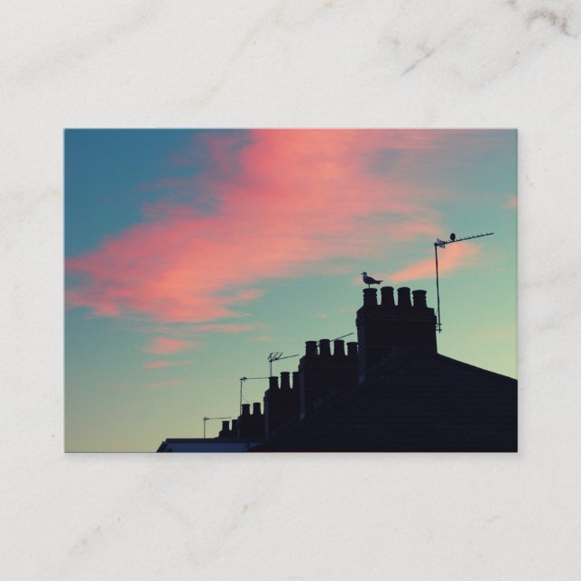 Cartão De Visita Pássaros primitivos (Frente)