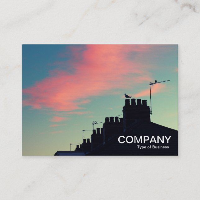 Cartão De Visita Pássaros primitivos (Frente)