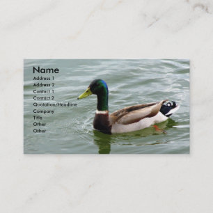 Cartão De Visita Pato bonito do pato selvagem