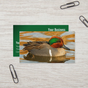 Cartão De Visita Pato Marreco de Asa Verde Bonito no Lago Dourado