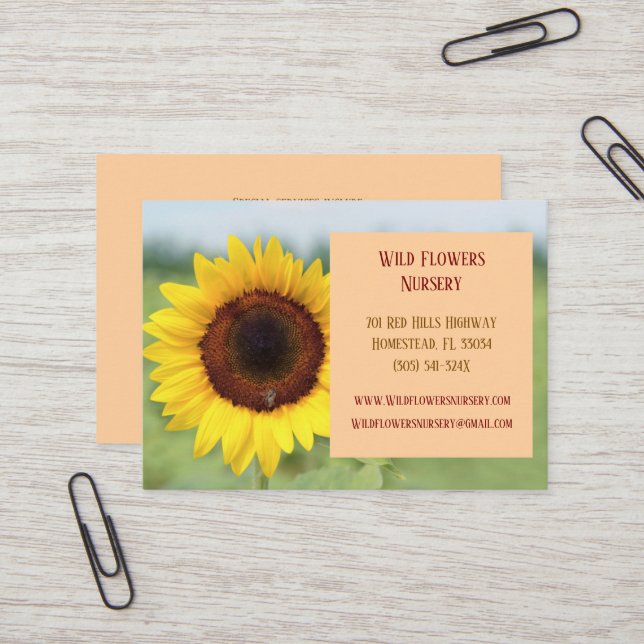 Cartão De Visita Peach Gardener Landscaper Florist Sunflower (Frente/Verso In Situ)
