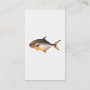 Cartão De Visita Peixes da palombeta do vintage - o jogo pesca o
