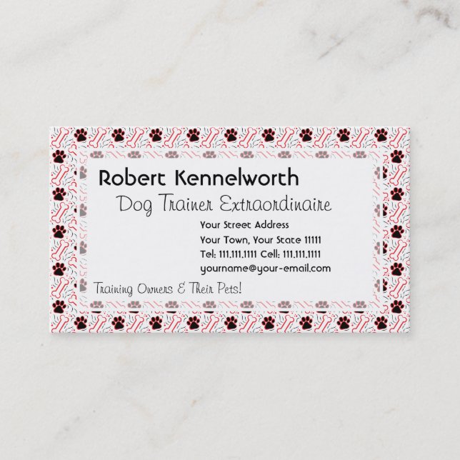 Cartão De Visita Peixes e Ossos Design Engraçado para Pássaros Cach (Frente)