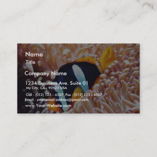 Cartão De Visita Peixes tropicais dos peixes do palhaço