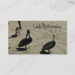 Cartão De Visita Pelicanos na praia