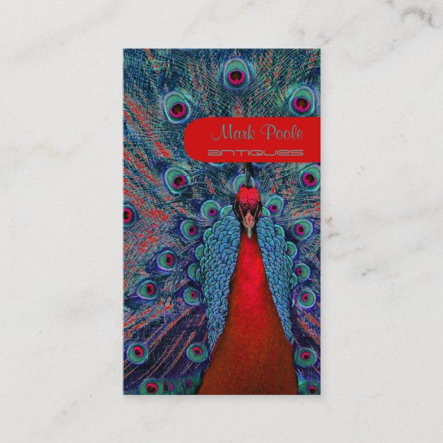 Cartão De Visita Pena de pavão PixDezines (Frente)