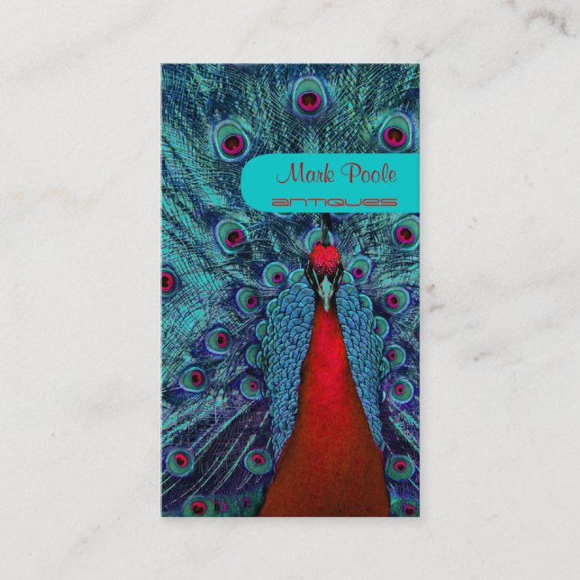 Cartão De Visita Pena de pavão PixDezines (Frente)