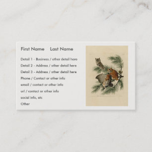 Cartão De Visita Pequena Coruja das Aves da América de Audubon