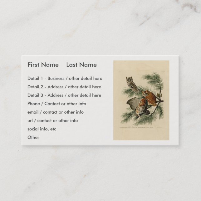 Cartão De Visita Pequena Coruja das Aves da América de Audubon (Frente)