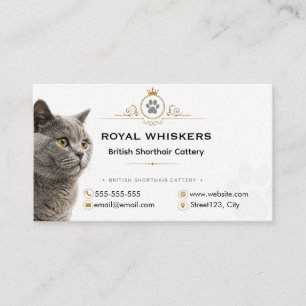 Cartão de Visita Personalizado de Cattery de Briti