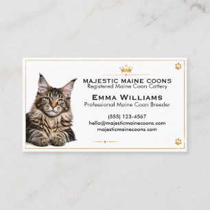 Cartão de Visita Personalizado de Cattery Maine Co