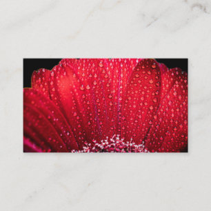 Cartão De Visita Personalizado Negócio Foto e Texto Personalizado