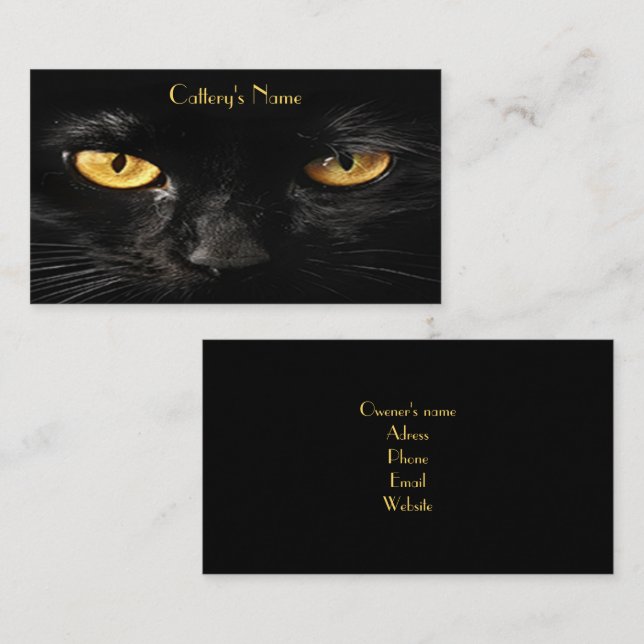 Cartão de visita Personalizado Para Gato Preto Da  (Frente/Verso)