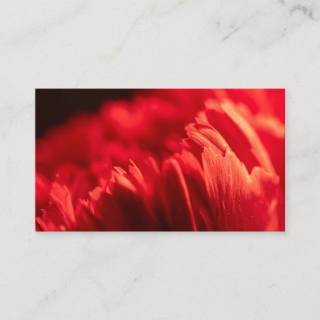 Cartão De Visita Personalizado Personalizado Sua Própria Empresa de (Frente)