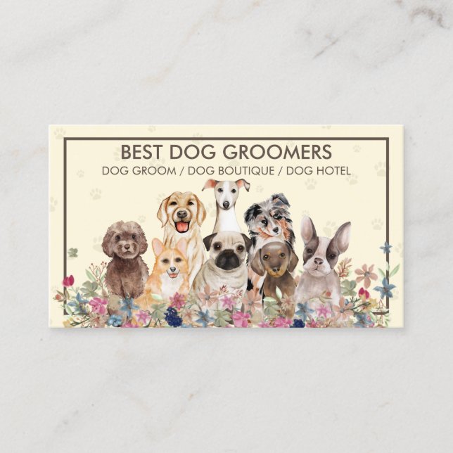 Cartão De Visita Pet Amarelo de Molas de Cães (Frente)