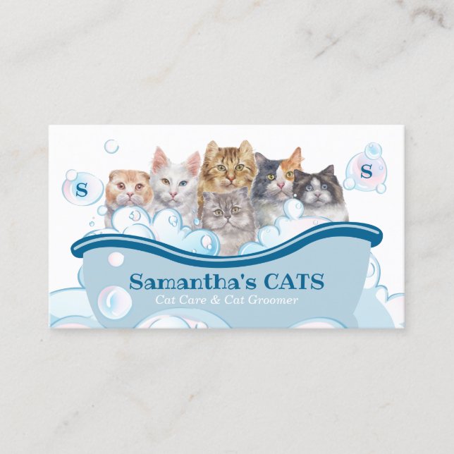 Cartão De Visita Pet Care Spa Salon Sitting Bathtub Groomer Cat (Frente)