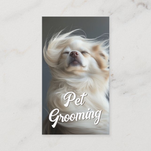 Cartão De Visita Pet Grooming Salon Boutique Chihuahua Retrait (Frente)