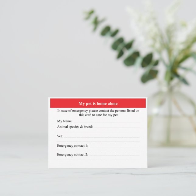 Cartão De Visita Pet Home Soone (Em pé/Frente)