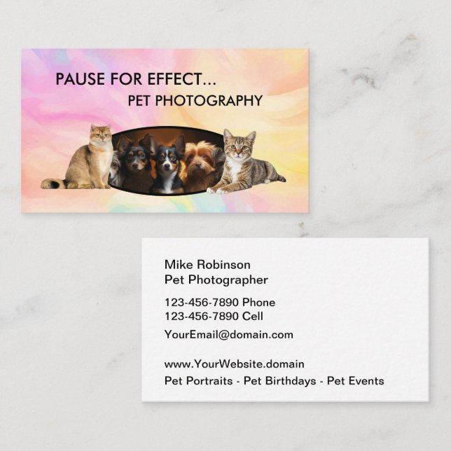 Cartão De Visita Pet Photography Modern Business Cards (Frente/Verso)