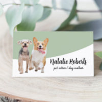 Pet Sitter Dog Andando Pet Boutique Sage Green
