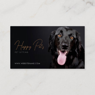 Cartão De Visita Pet Sitting, Pet Compra, clínica veterinária, Pet