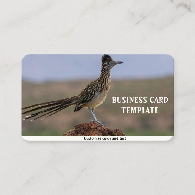 Cartão De Visita Picture Nature Desert Bird Roadrunner (Frente)