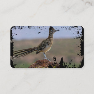 Cartão De Visita Picture Nature Desert Bird Roadrunner