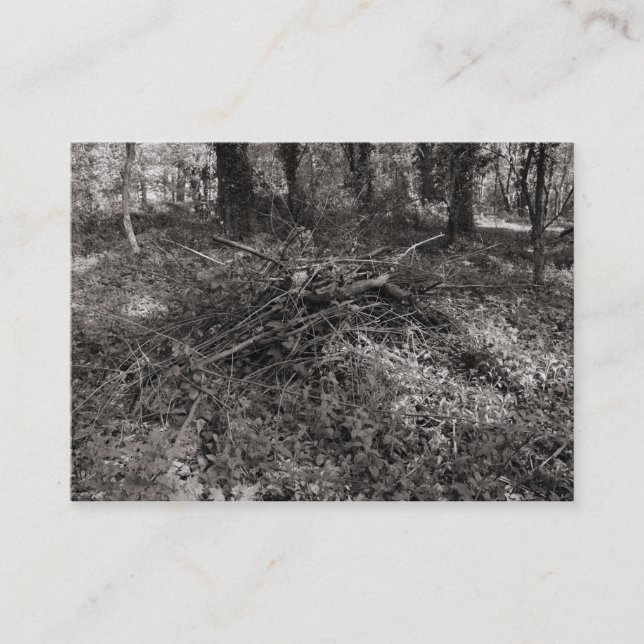 Cartão De Visita Pilha de bastões (Frente)