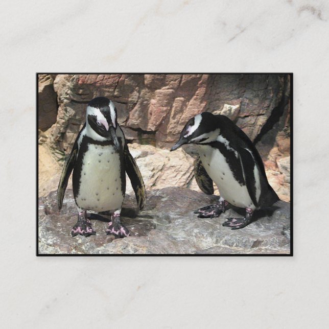 Cartão De Visita Pinguins ATC (Frente)