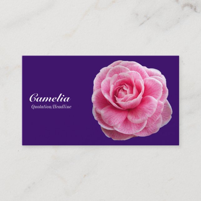 Cartão De Visita Pink Camelia - Deep Purple 330066 (Frente)