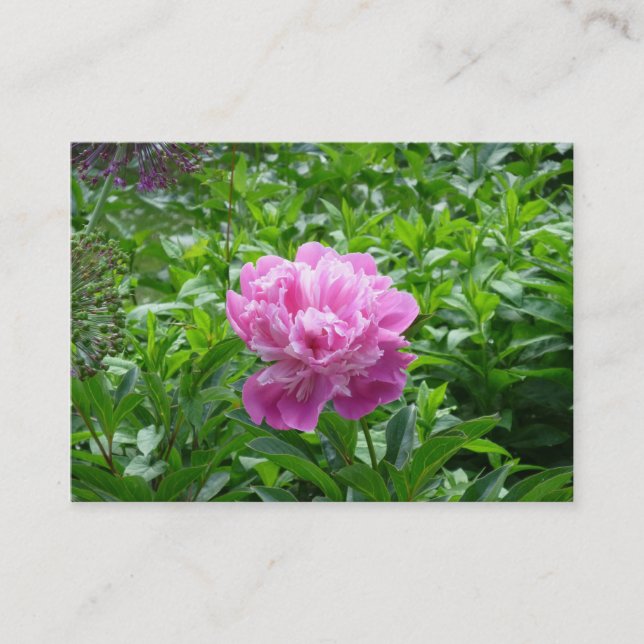 Cartão De Visita Pink Peony (Frente)