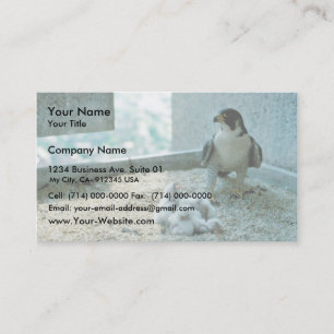 Cartão De Visita Pintinhos De Falcão Peregrino, Mulher