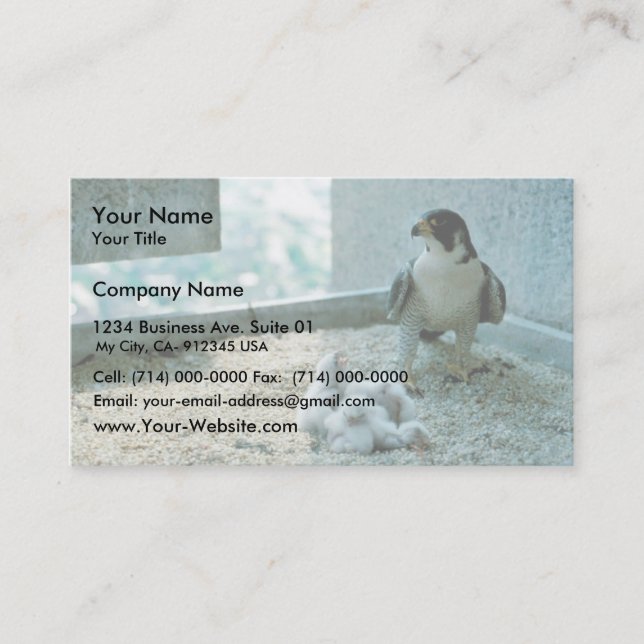 Cartão De Visita Pintinhos De Falcão Peregrino, Mulher (Frente)