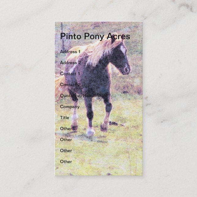 Cartão De Visita Pinto Pony (Frente)