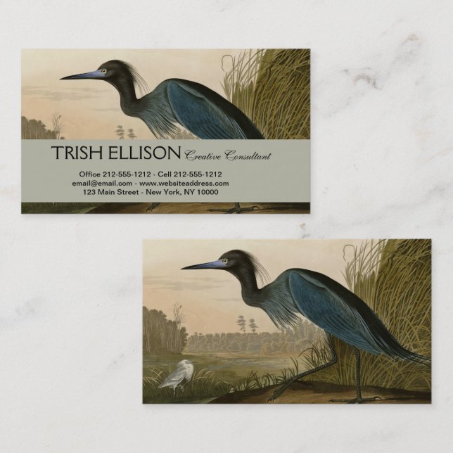 Cartão De Visita Pintura de Heron Audubon com Crane Azul (Frente/Verso)