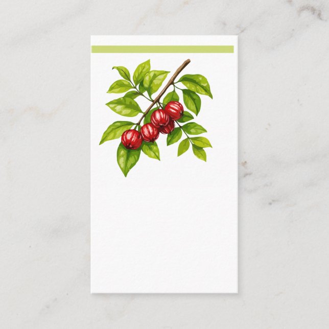 Cartão De Visita Pitangueira e Saí-andorinha (Tersina viridis) (Frente)