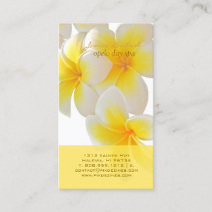 Cartão De Visita Pix Dezines Hawaii Plumeria
