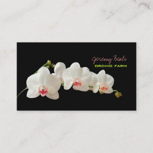 Cartão De Visita PixDezines orquídea/cor do fundo faça-você-mesmo♥♥