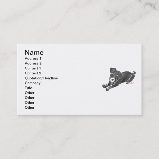 Cartão De Visita Placas Pup Schnauzer Modelo (Frente)