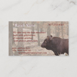 Cartão De Visita PLBBizCard-personalize como necessário