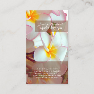 Cartão De Visita Plumeria rosa-rosa PixDezines