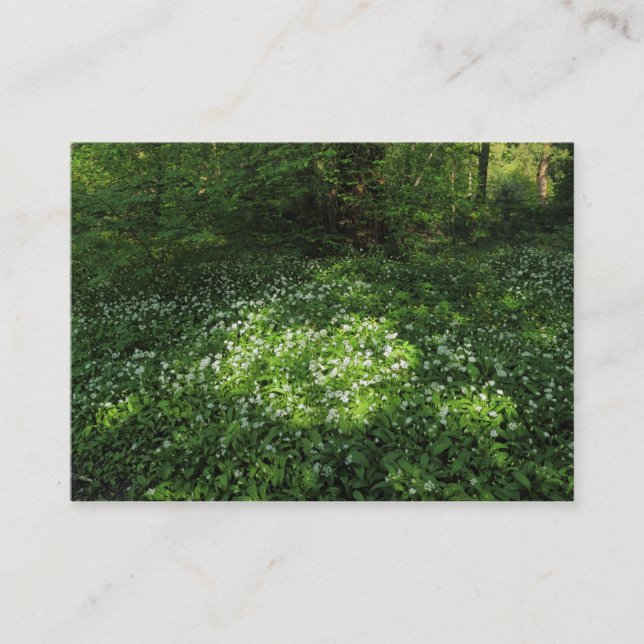 Cartão De Visita Ponto de Alho (Frente)