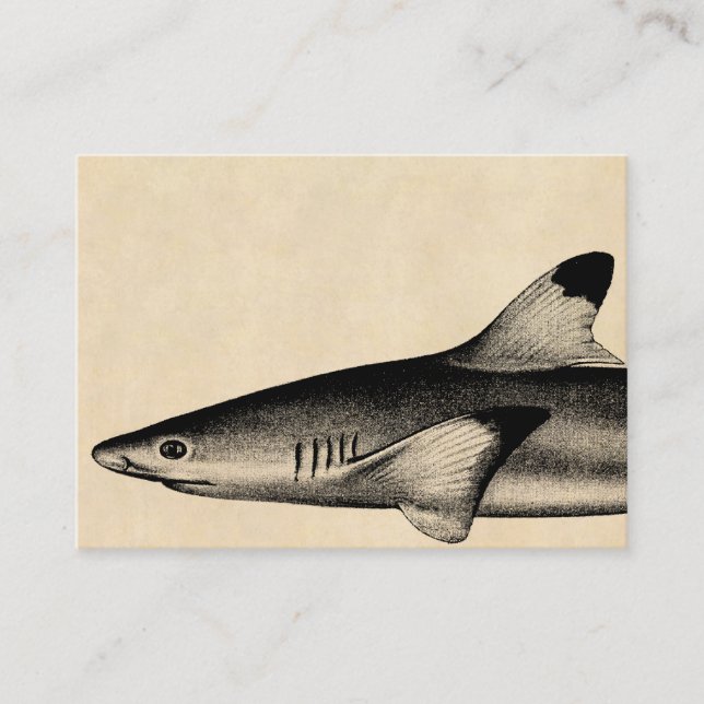 Cartão De Visita Preto da ilustração do tubarão do recife do (Frente)