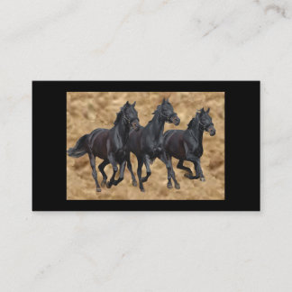 Cartão de visita preto das belezas dos cavalos