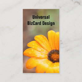 Cartão De Visita Primavera Flash African Daisy Close-up laranja