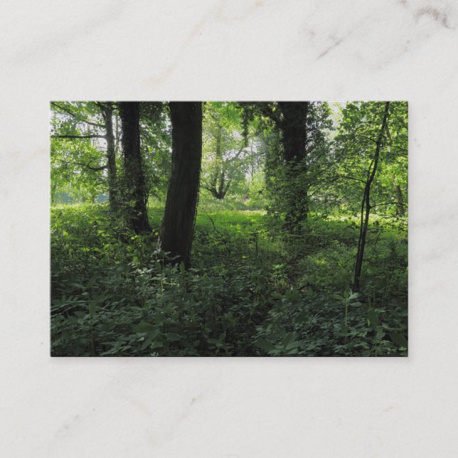 Cartão De Visita Primavera na floresta 04 (Frente)