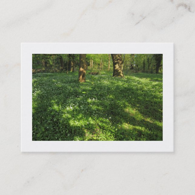 Cartão De Visita Primavera na floresta (Bordado) (Frente)