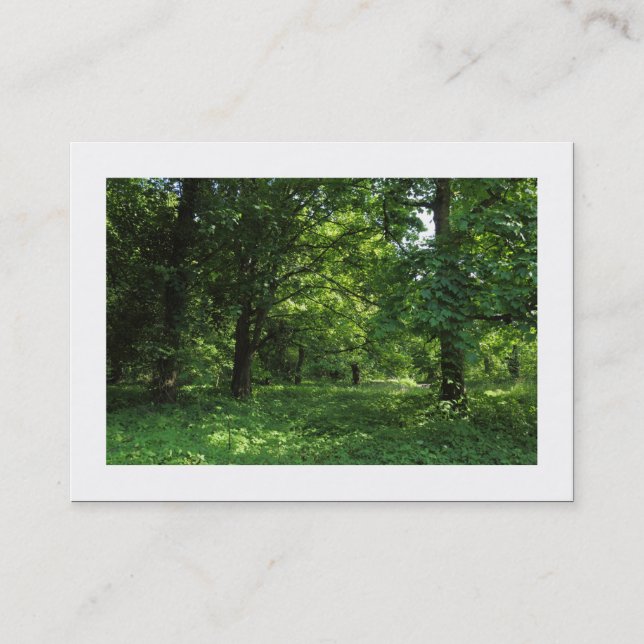 Cartão De Visita Primavera no bosque 01 (Bordado) (Frente)