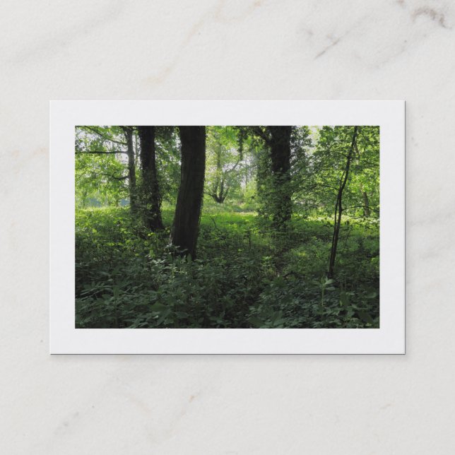 Cartão De Visita Primavera no bosque 04 (Bordado) (Frente)