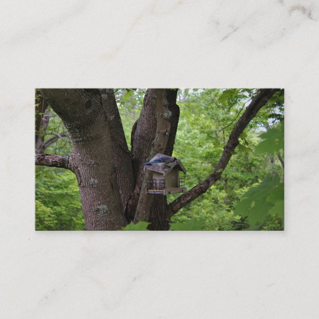 Cartão De Visita Procurando uma mordida para comer (Frente)